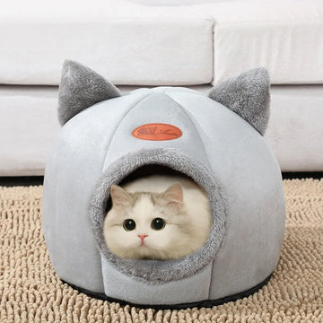 Transform Your Pet's Sleep into Pure Bliss