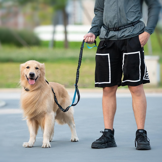 Pet Travel Seat Cover™
