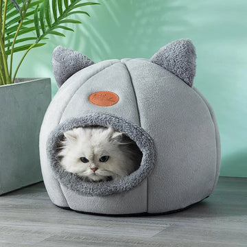 Transform Your Pet's Sleep into Pure Bliss