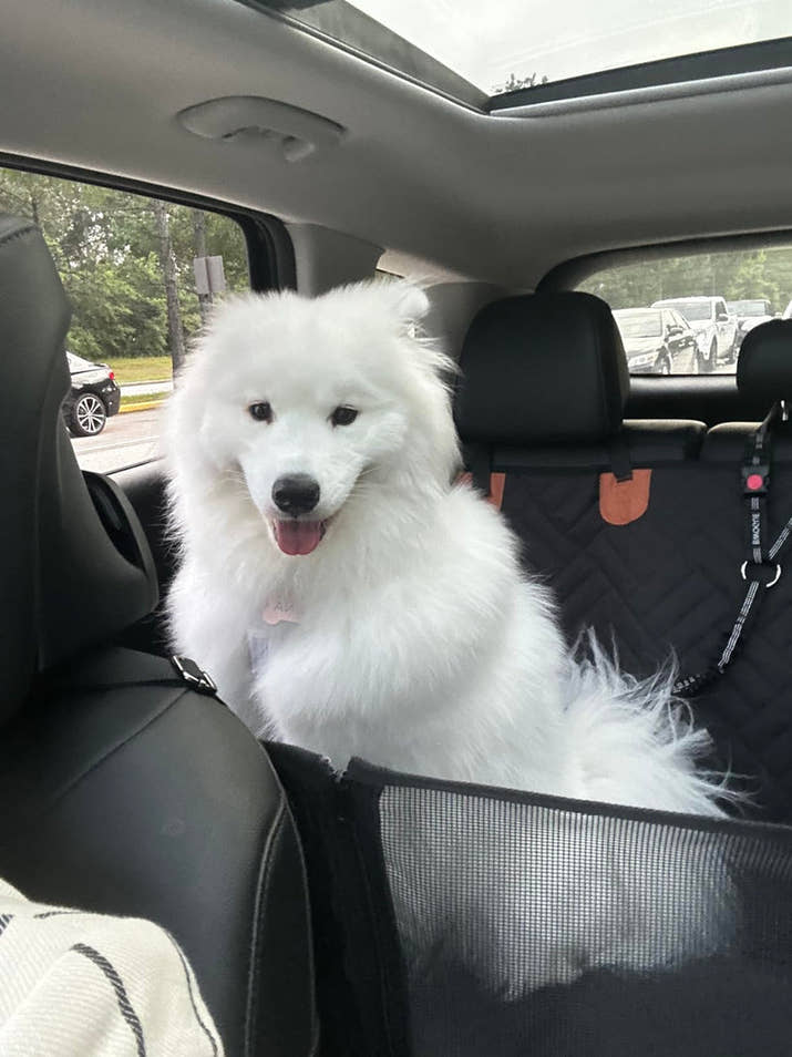 Pet Travel Seat Cover™