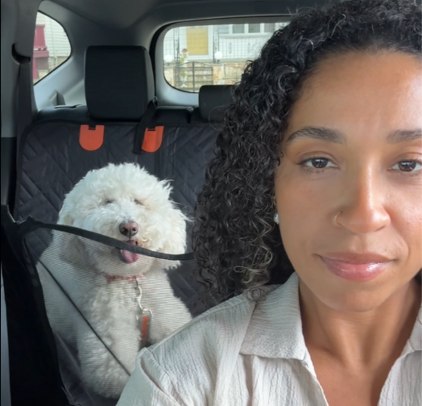 Pet Travel Seat Cover™