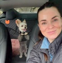 Pet Travel Seat Cover™