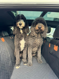 Pet Travel Seat Cover™