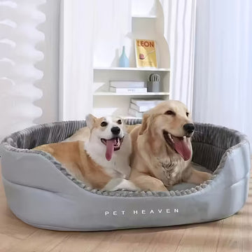 Transform Your Pet's Sleep into Pure Bliss