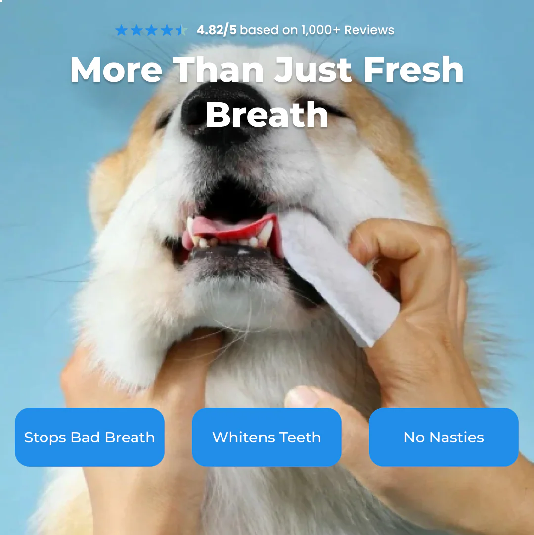 Natural Pet Dental Finger Wipes